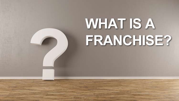 what is a franchise